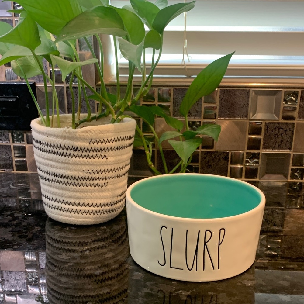 Rae Dunn White Teal Dog cat Bowl food water slurp comedy funny humor pun fun pet